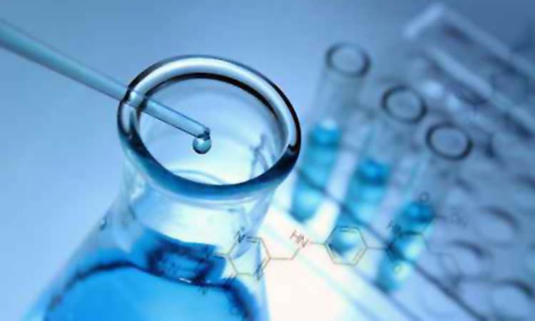 Proprietà Intellettuale